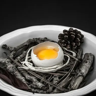 A white bowl containing a branch with a fresh egg at the center in black and white color